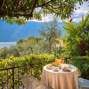 Hotel Silvana Garni